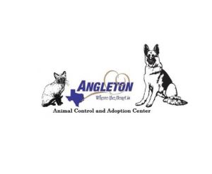 Angleton Animal Control