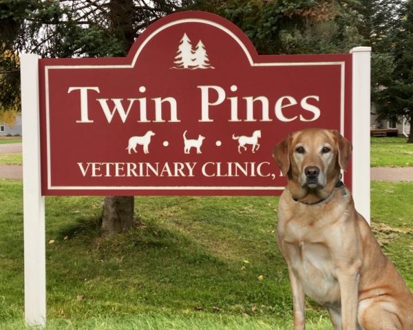 Twin Pines Veterinary Clinic