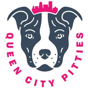 Pets For Adoption At Queen City Pitties Animal Rescue Inc In Buffalo Ny Petfinder