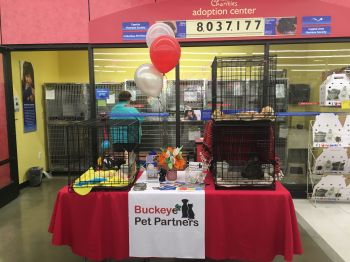 Adoption event at Petsmart Hilliard, Ohio