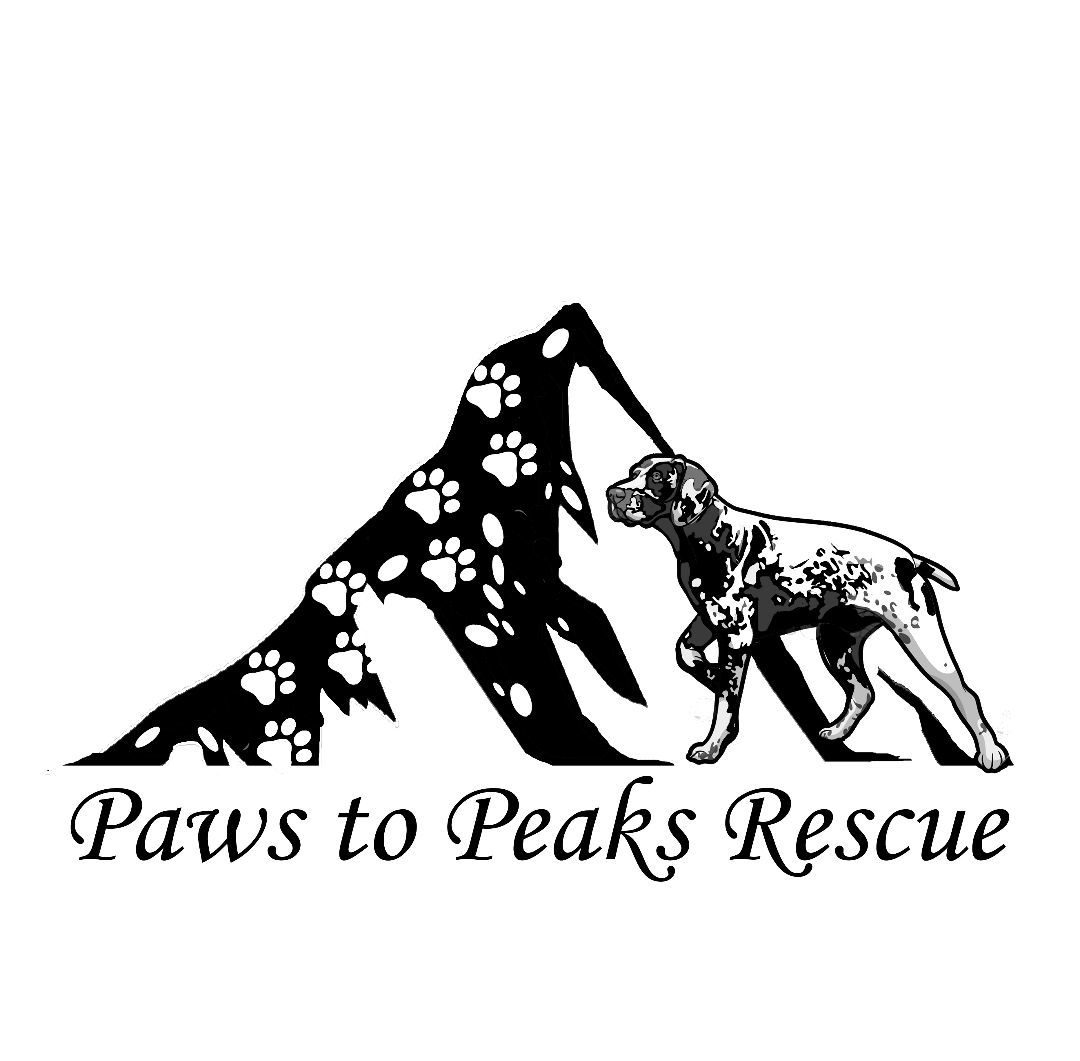 Paws to Peaks Rescue