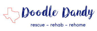 Doodle Dandy Rescue