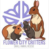 Flower City Critters Small Animal Rescue