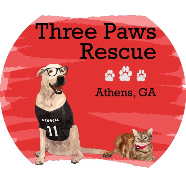 Three Paws Rescue