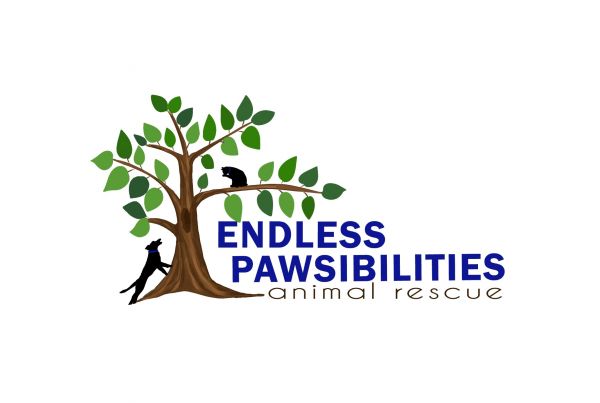 Endless Pawsibilities Animal Rescue