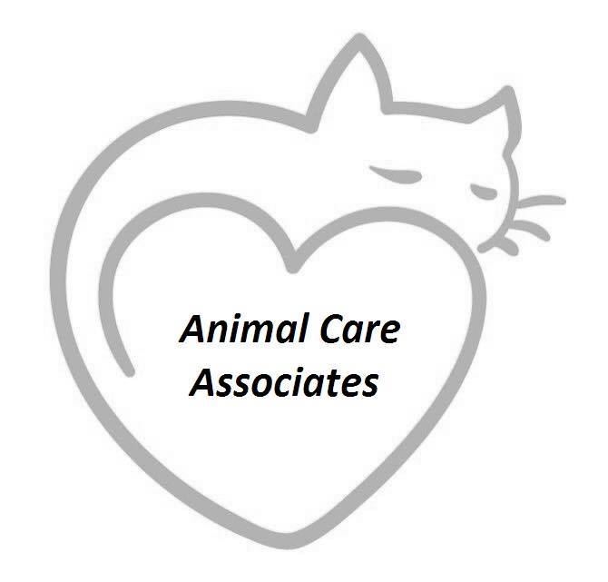 What do pet care associates do at petsmart