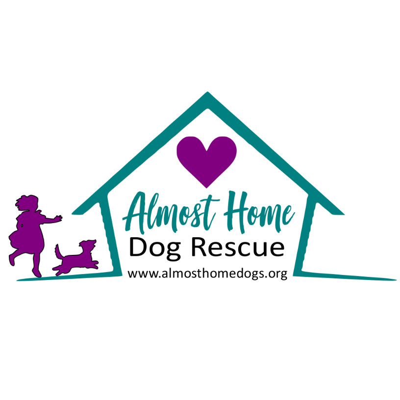 Almost home dogs for hot sale adoption