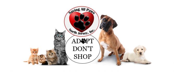 Saving All Paws North Jersey, Inc.