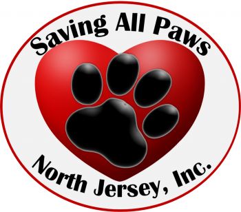 Breed Info  All Fur Paws Animal Hospital Millstone, New Jersey