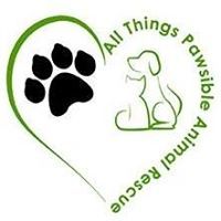 All Things Pawsible Animal Rescue