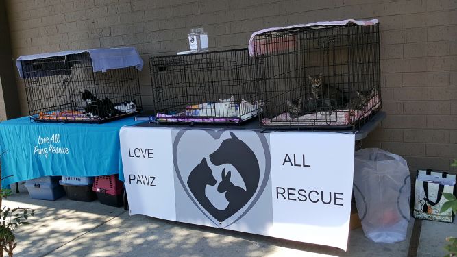 Love All Pawz Rescue