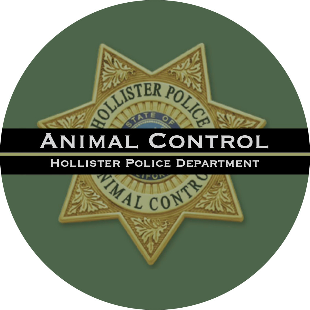 Hollister Animal Shelter