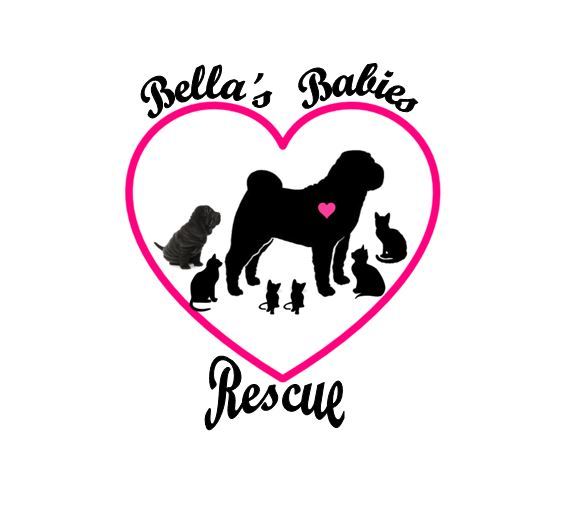 Bella's Babies Rescue