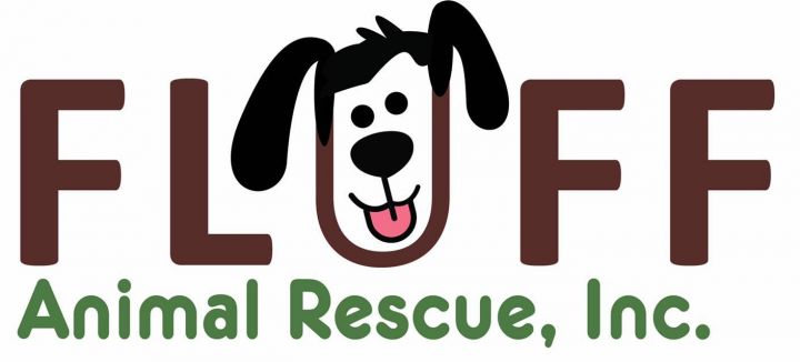 Furry friends foster store and rescue inc