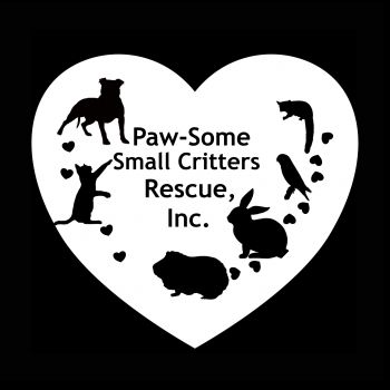 Pets For Adoption At Paw Some Small Critter Rescue Inc In Lake Jackson Tx Petfinder