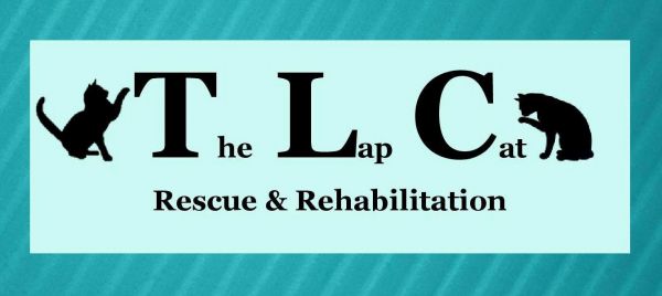 The Lap Cat Rescue  Rehabilitation Inc