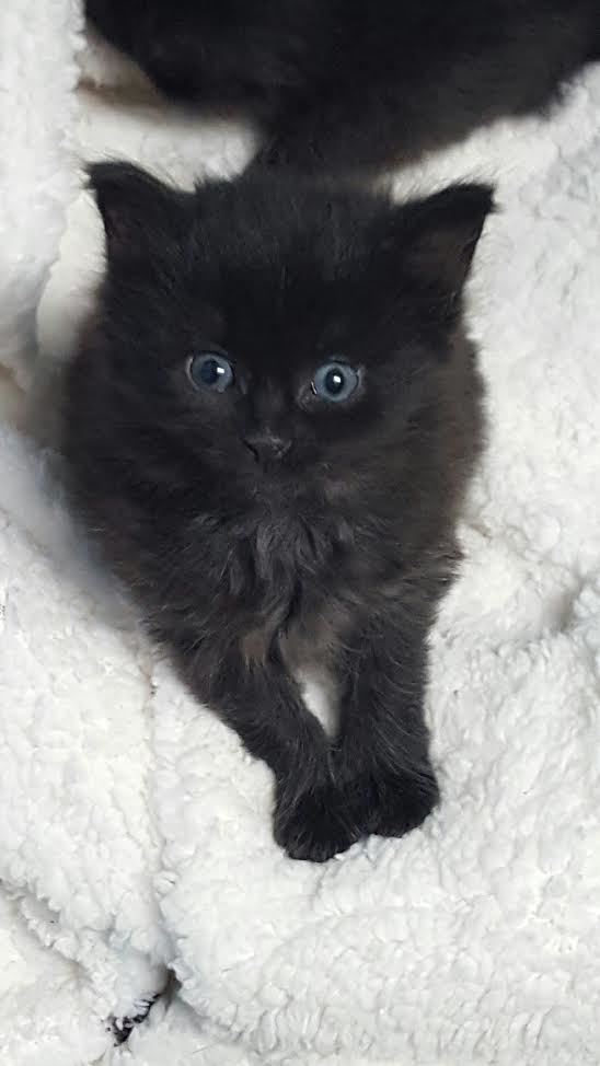 Annie - the reason why we started