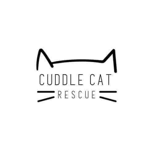 Cuddles cat hot sale rescue