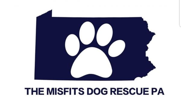 The Misfits Dog Rescue-PA