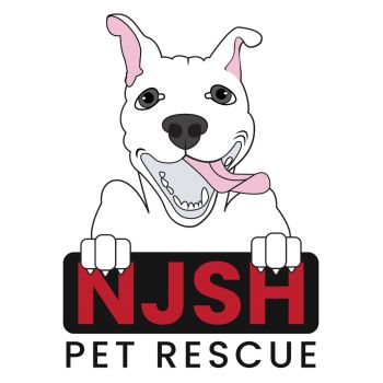 South hills pet hot sale rescue and resort