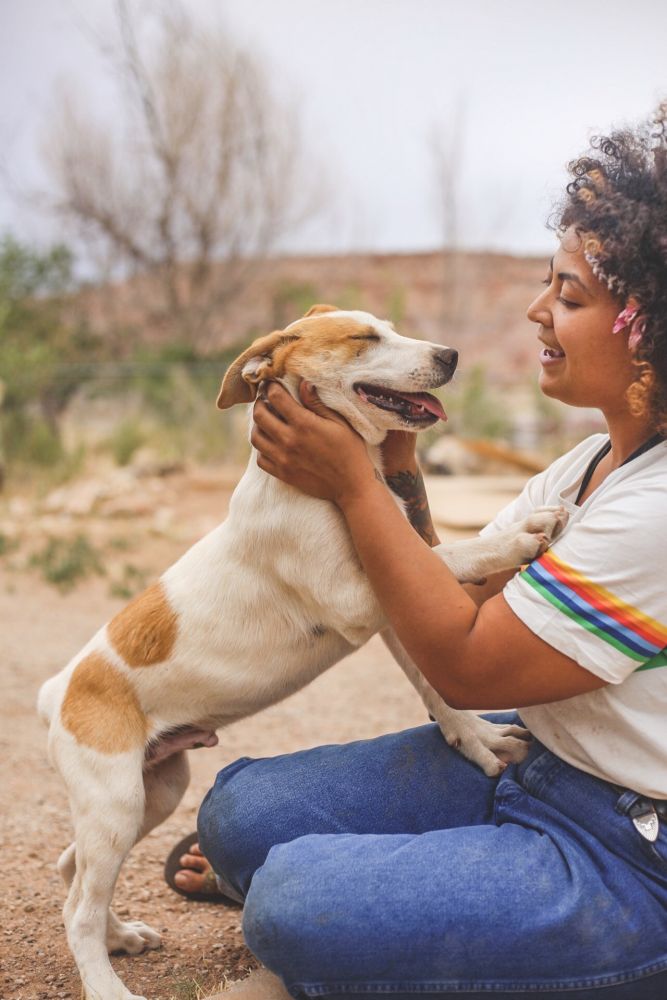 Underdog Animal Rescue and Rehab Moab