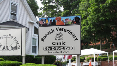 Pets for Adoption at Borash Veterinary Clinic, in Peabody ...