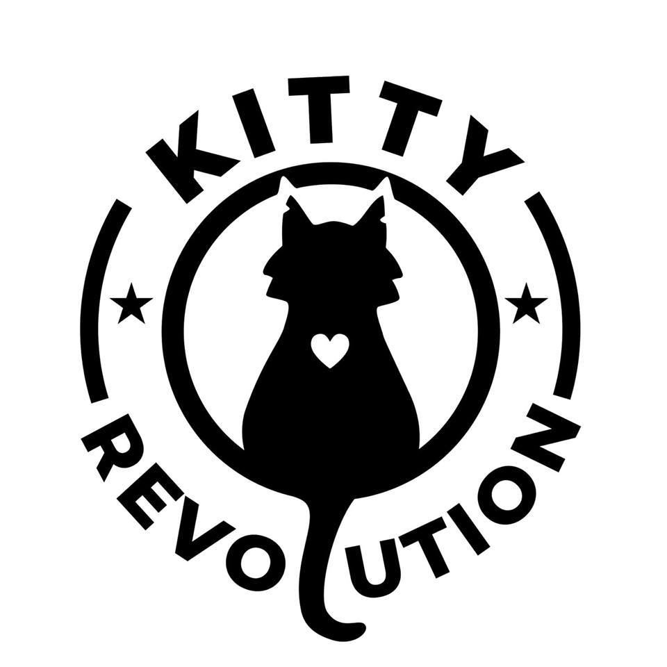 Pets for Adoption at Kitty Revolution, in Saint Paul, MN | Petfinder