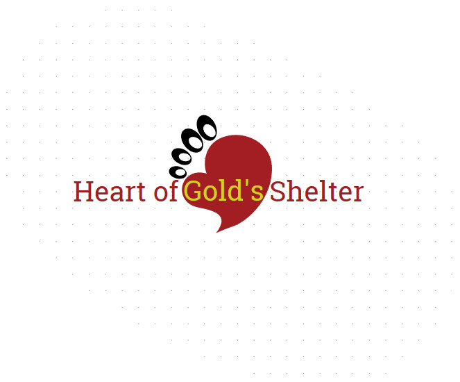 Heart of Gold's Shelter