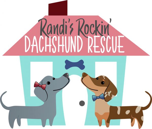 Randi's Rockin' Dachshund Rescue