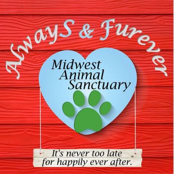 Always and Furever Logo