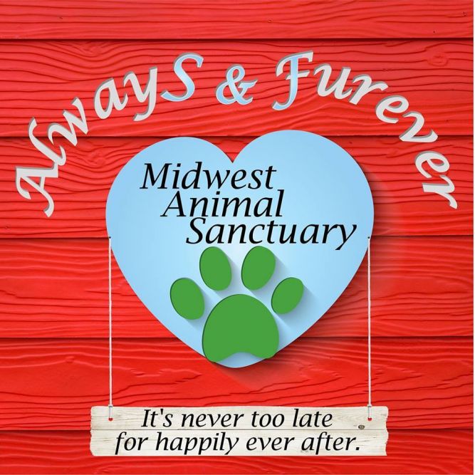 Always and Furever Midwest Animal Sanctuary