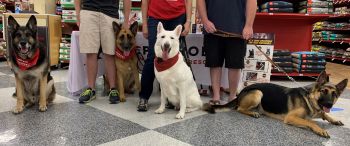 Petco Adoption Day Sacramento