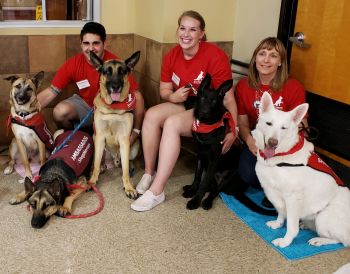 Petsmart Adoption Day San Jose