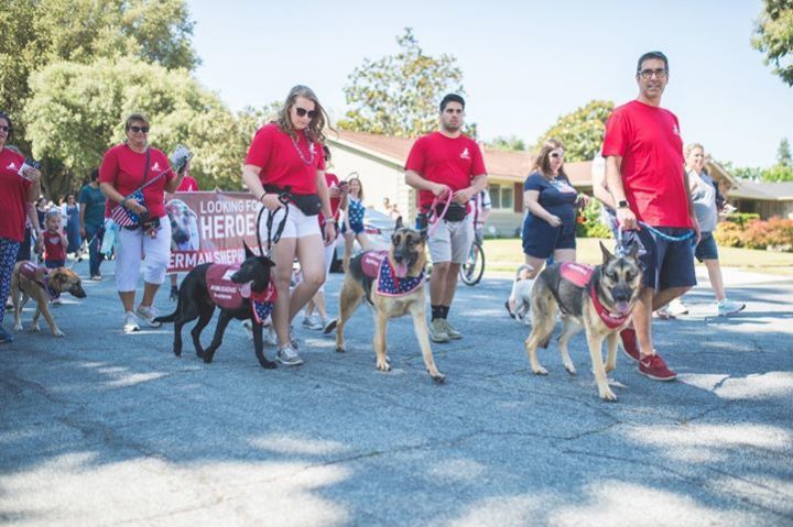 4th of July Parade