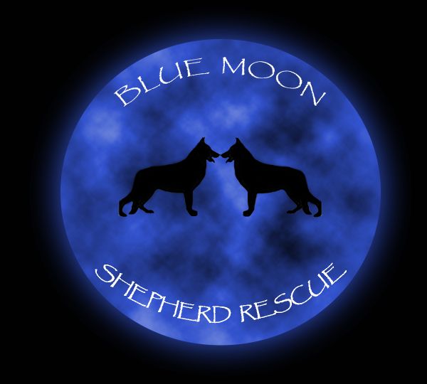 Blue Moon Shepherd Rescue, Inc.