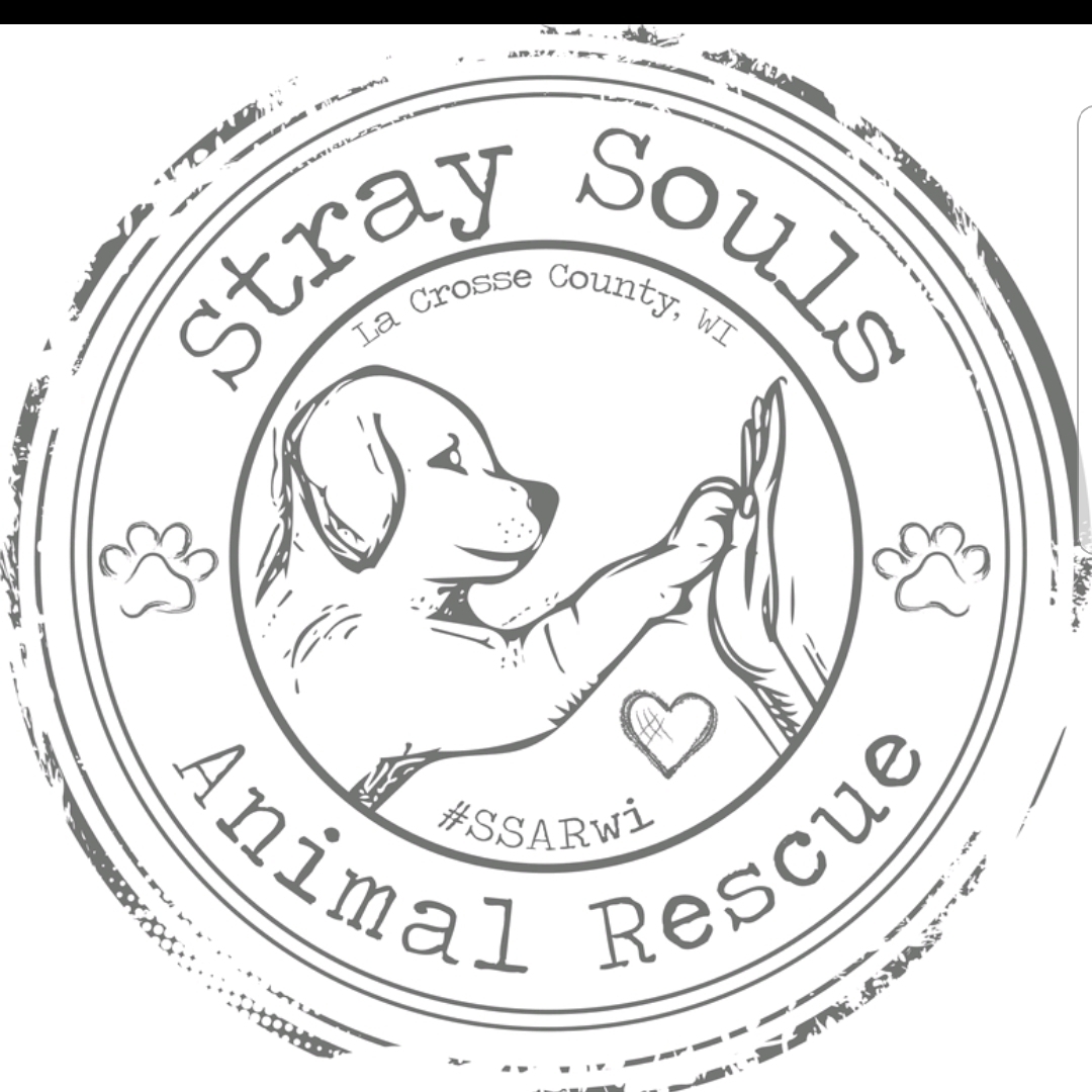 Pets For Adoption At Stray Souls Animal Rescue In Onalaska Wi Petfinder