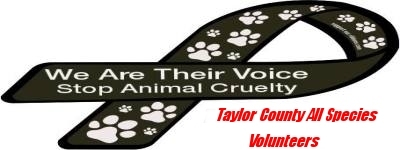 TCAS Volunteers