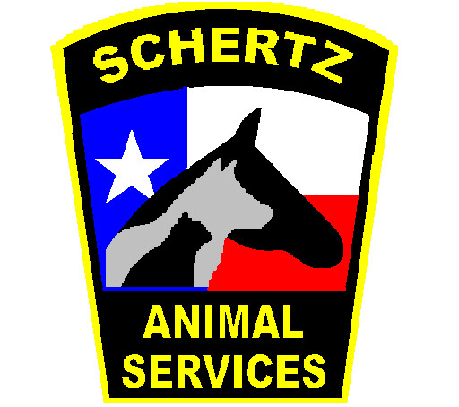Pets For Adoption At City Of Schertz In Schertz Tx Petfinder
