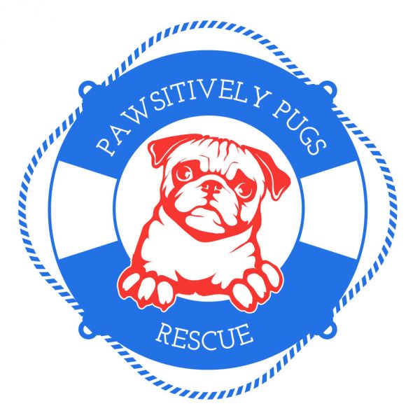 Pawsitively Pugs Rescue