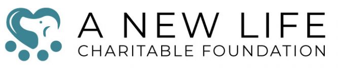 A New Life Charitable Foundation, Inc.