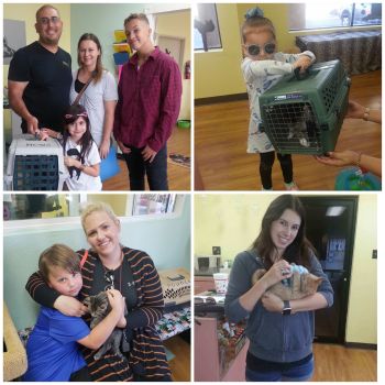 Happy adopters!