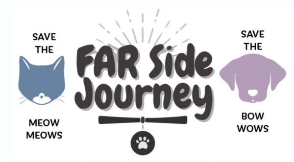 FAR Side Journey