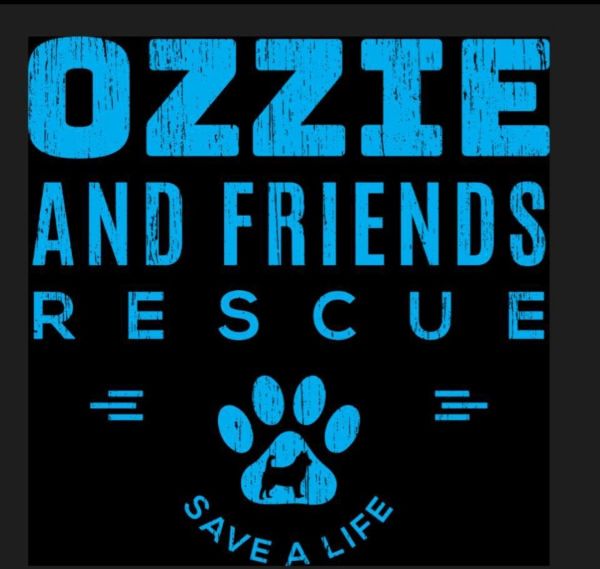 Ozzie and Friends Rescue