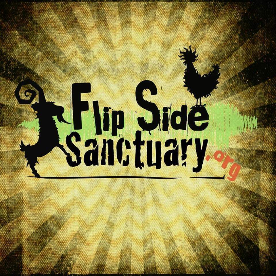 Flip Side Sanctuary