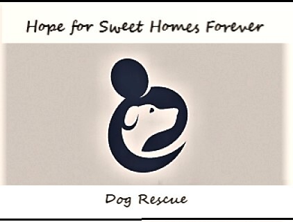 Hope 4 Sweet Homes Rescue