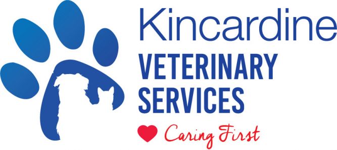Kincardine Veterinary Services 