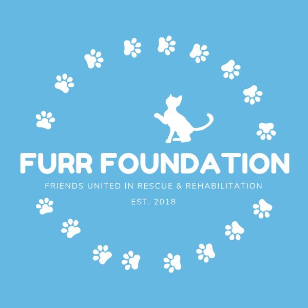 FURR Foundation