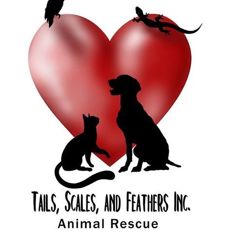 Tails, Scales, and Feathers Animal Rescue