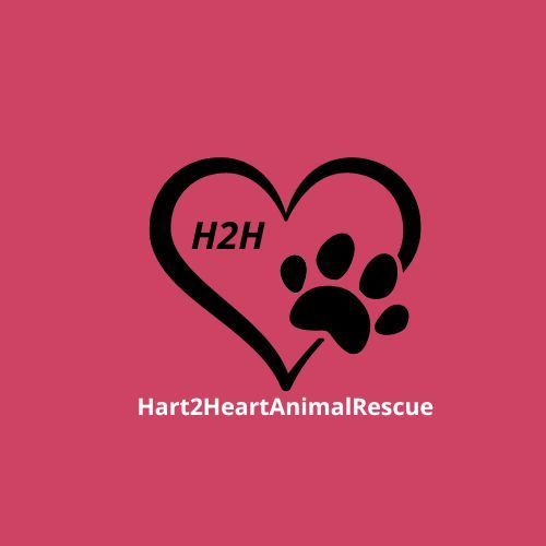 Hart 2 Heart Animal Rescue