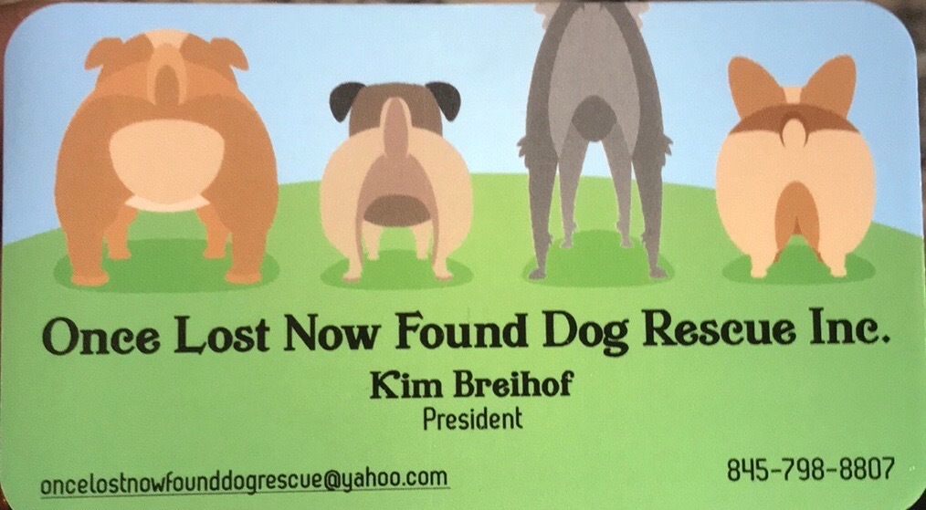 Once Lost Now Found 